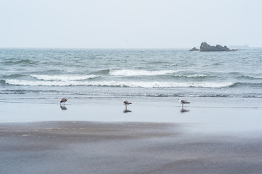 Similar image 21749227