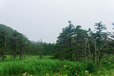 Similar image 21749231