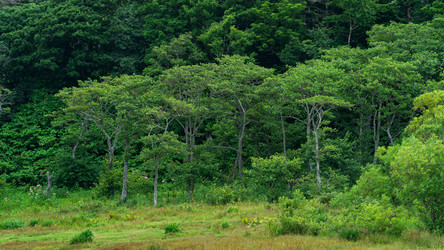 Similar image 21749233