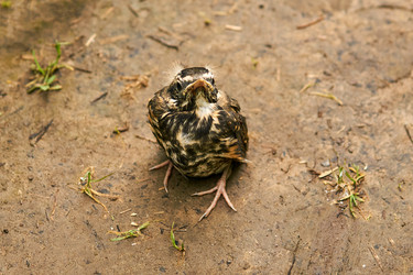 Similar image 21749240