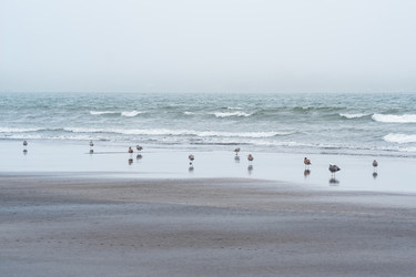 Similar image 21749250