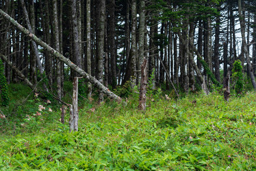 Similar image 21749251