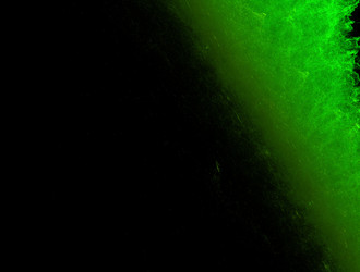 Similar image 21759351