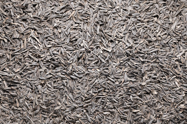 Similar image 21747231