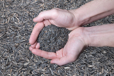 Similar image 21750155