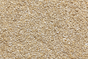 Similar image 21750157