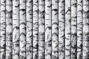 Similar image 21750159