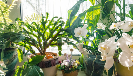 Similar image 21752849