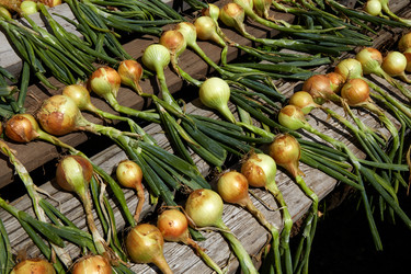 Similar image 21747234