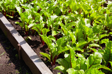 Similar image 21747238