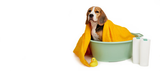 Similar image 21747244