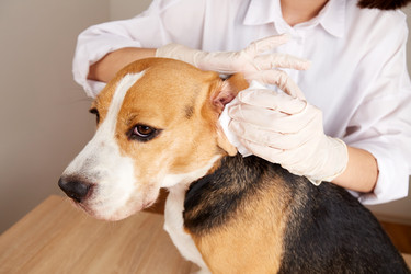 Similar image 21747245