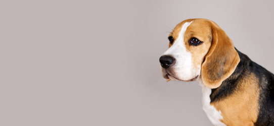 Similar image 21747246