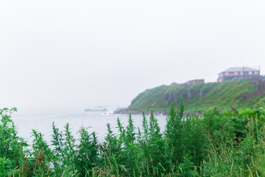 Similar image 21748666