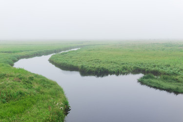 Similar image 21748667