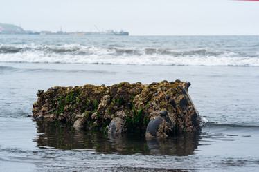 Similar image 21748670