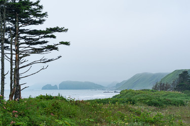 Similar image 21748675