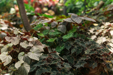 Similar image 21748676