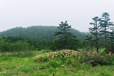 Similar image 21748677