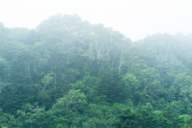 Similar image 21748678