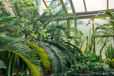 Similar image 21749267