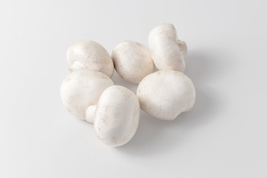 Similar image 21747260