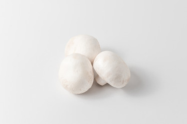 Similar image 21747262