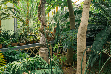 Similar image 21749741