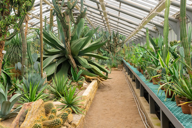 Similar image 21749748