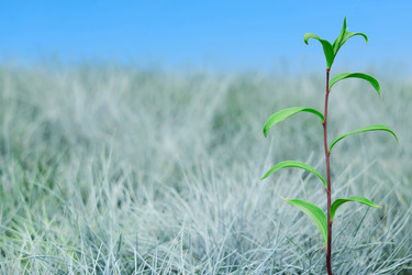 Similar image 21749755