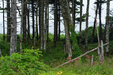 Similar image 21748679