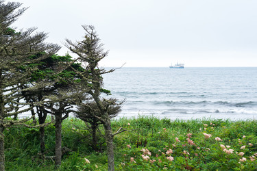 Similar image 21748683