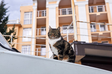 Similar image 21748694