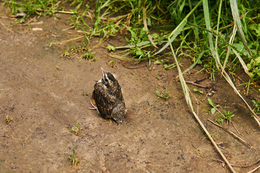 Similar image 21749271