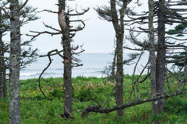 Similar image 21749273