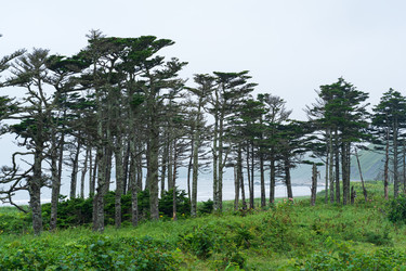 Similar image 21749770