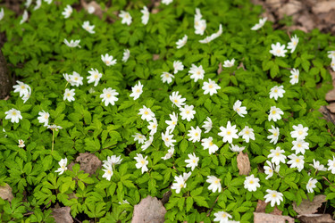 Similar image 21749776