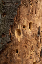 Similar image 21749778