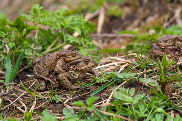 Similar image 21749994