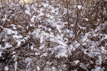 Similar image 21749996