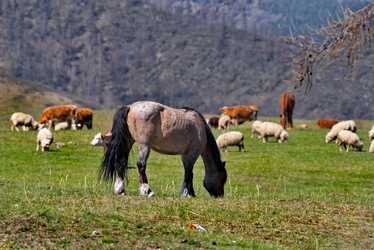 Similar image 21751827