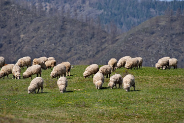 Similar image 21751829