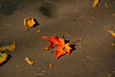 Similar image 21752853