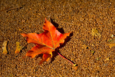 Similar image 21752854