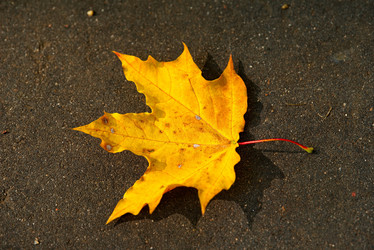 Similar image 21752855