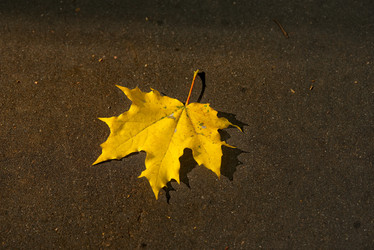 Similar image 21752856