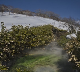 Similar image 21752858