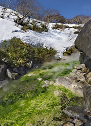 Similar image 21752859