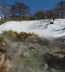 Similar image 21752861