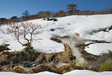 Similar image 21752863